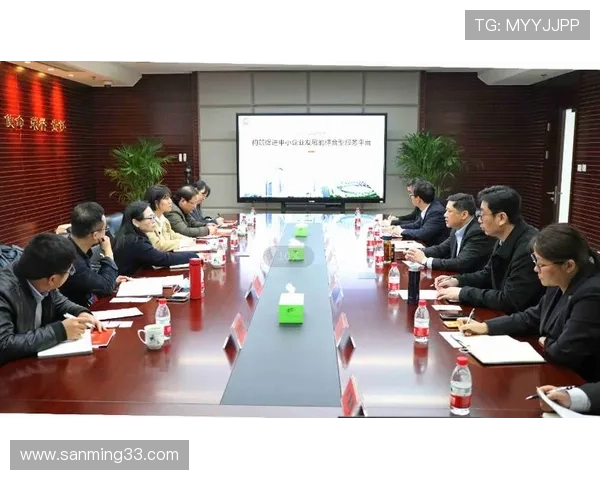 深入探讨PA集团代理的优势与发展策略